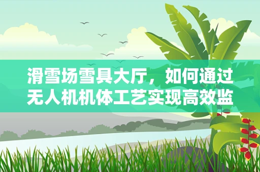 滑雪场雪具大厅，如何通过无人机机体工艺实现高效监控与维护？