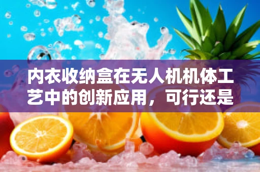 内衣收纳盒在无人机机体工艺中的创新应用，可行还是异想天开？