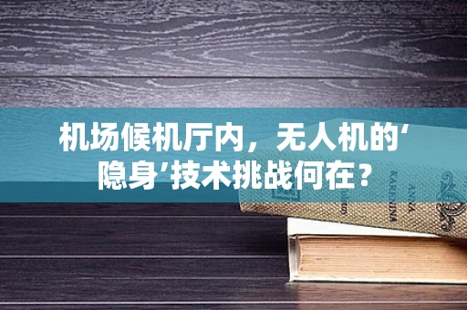 机场候机厅内，无人机的‘隐身’技术挑战何在？
