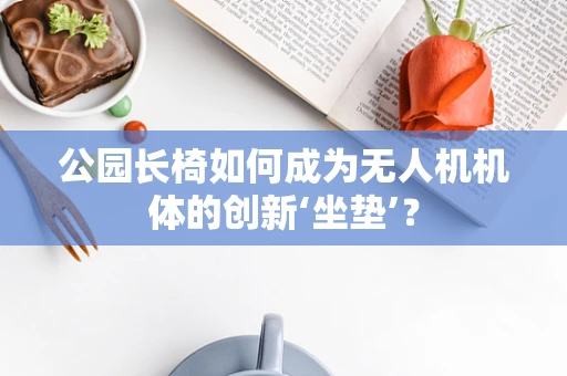 公园长椅如何成为无人机机体的创新‘坐垫’？