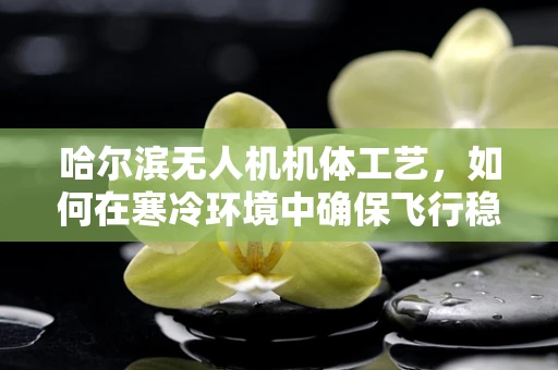 哈尔滨无人机机体工艺，如何在寒冷环境中确保飞行稳定性？