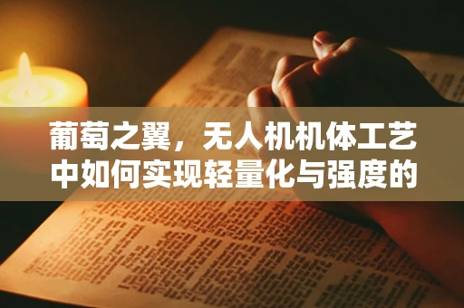 葡萄之翼，无人机机体工艺中如何实现轻量化与强度的完美平衡？