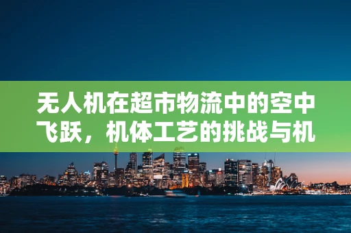 无人机在超市物流中的空中飞跃，机体工艺的挑战与机遇
