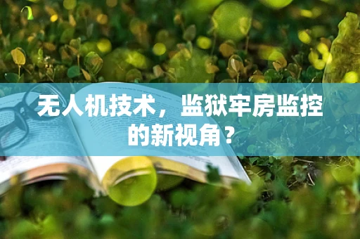无人机技术，监狱牢房监控的新视角？
