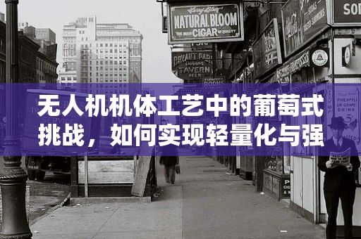 无人机机体工艺中的葡萄式挑战，如何实现轻量化与强度的完美平衡？