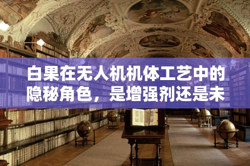 白果在无人机机体工艺中的隐秘角色，是增强剂还是未知挑战？