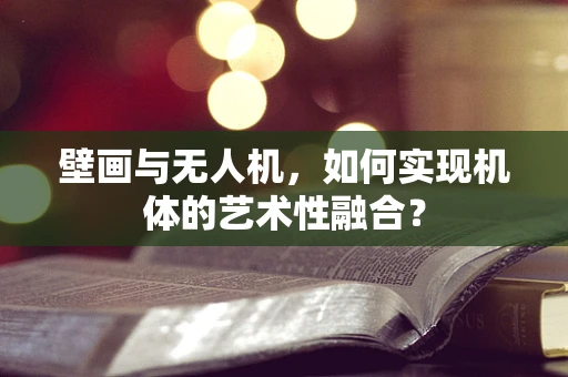 壁画与无人机，如何实现机体的艺术性融合？