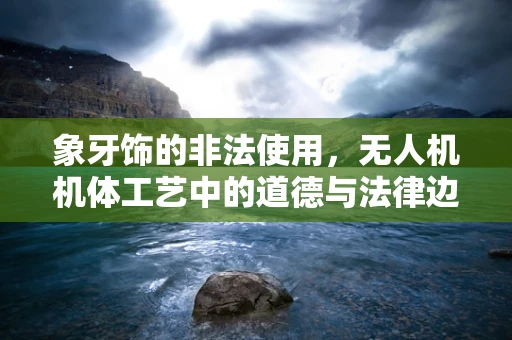 象牙饰的非法使用，无人机机体工艺中的道德与法律边界