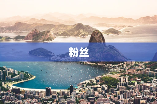 粉丝