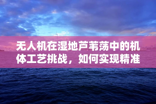 无人机在湿地芦苇荡中的机体工艺挑战，如何实现精准穿越与稳定拍摄？