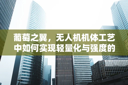 葡萄之翼，无人机机体工艺中如何实现轻量化与强度的完美平衡？