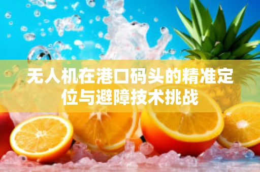 无人机在港口码头的精准定位与避障技术挑战