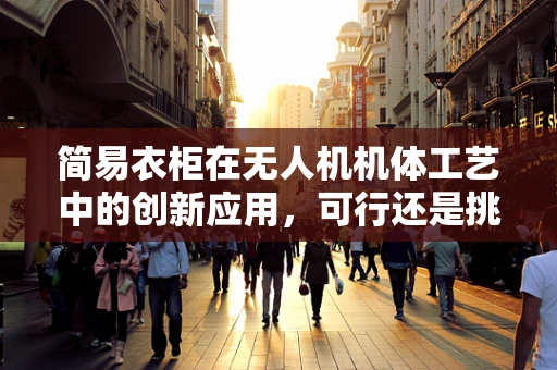 简易衣柜在无人机机体工艺中的创新应用，可行还是挑战？