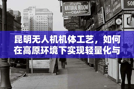 昆明无人机机体工艺，如何在高原环境下实现轻量化与耐用性的完美平衡？