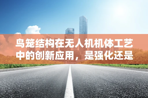 鸟笼结构在无人机机体工艺中的创新应用，是强化还是束缚？