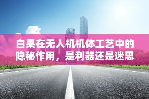 白果在无人机机体工艺中的隐秘作用，是利器还是迷思？