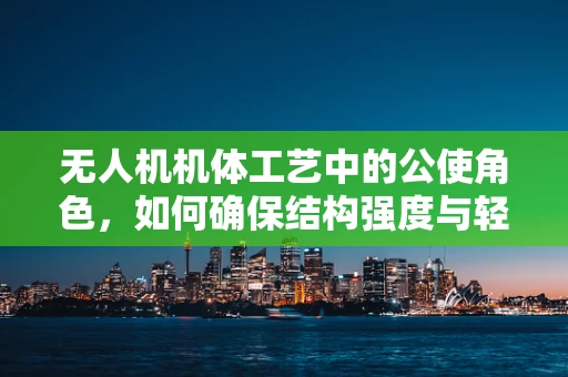 无人机机体工艺中的公使角色，如何确保结构强度与轻量化的完美平衡？