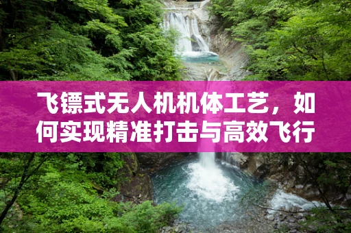 飞镖式无人机机体工艺，如何实现精准打击与高效飞行？