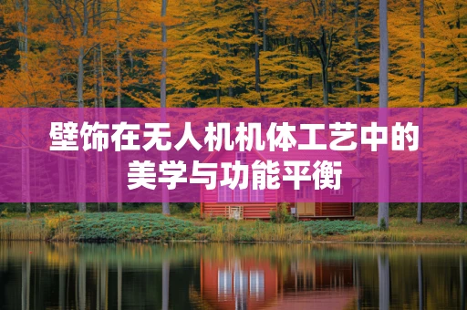 壁饰在无人机机体工艺中的美学与功能平衡
