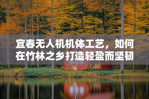 宜春无人机机体工艺，如何在竹林之乡打造轻盈而坚韧的飞行器？