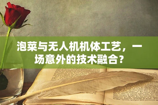 泡菜与无人机机体工艺，一场意外的技术融合？