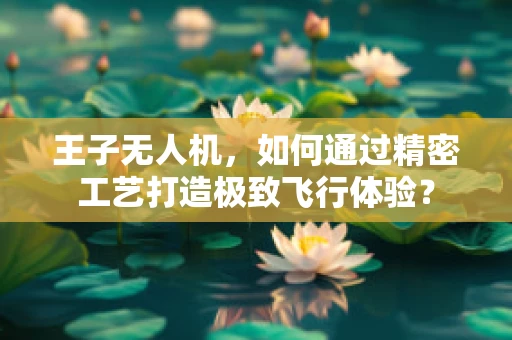 王子无人机，如何通过精密工艺打造极致飞行体验？