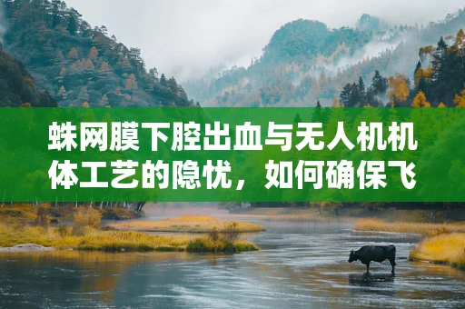 蛛网膜下腔出血与无人机机体工艺的隐忧，如何确保飞行安全？