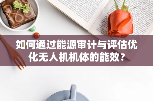 如何通过能源审计与评估优化无人机机体的能效？