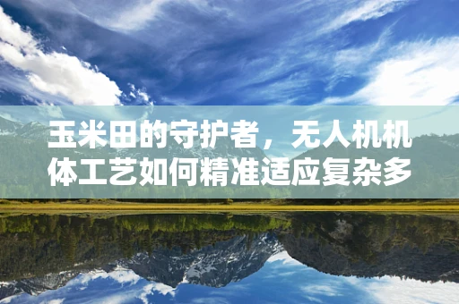 玉米田的守护者，无人机机体工艺如何精准适应复杂多变的玉米地环境？