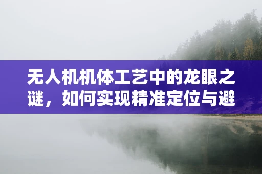 无人机机体工艺中的龙眼之谜，如何实现精准定位与避障？