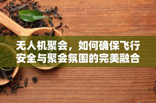 无人机聚会，如何确保飞行安全与聚会氛围的完美融合？