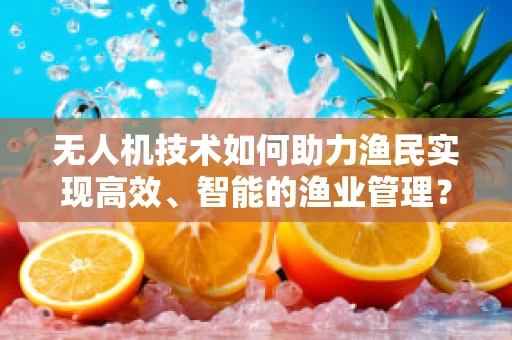无人机技术如何助力渔民实现高效、智能的渔业管理？