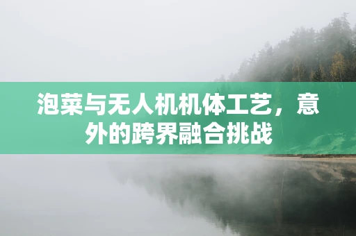 泡菜与无人机机体工艺，意外的跨界融合挑战