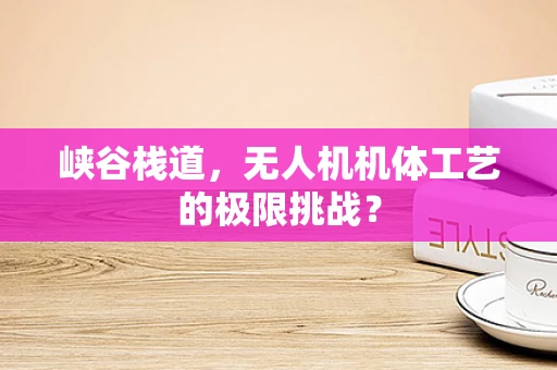 峡谷栈道，无人机机体工艺的极限挑战？