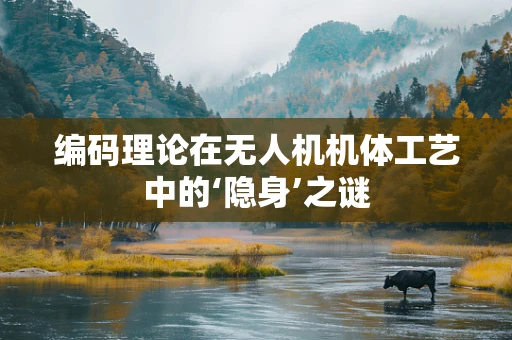 编码理论在无人机机体工艺中的‘隐身’之谜