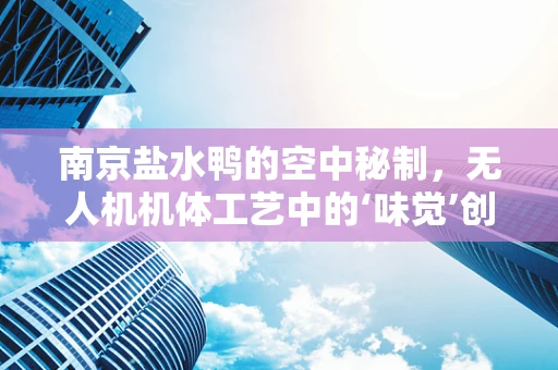 南京盐水鸭的空中秘制，无人机机体工艺中的‘味觉’创新