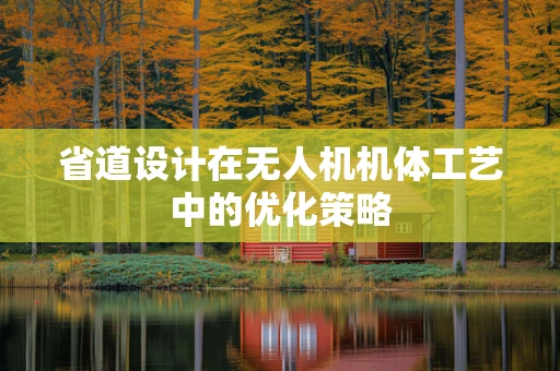 省道设计在无人机机体工艺中的优化策略