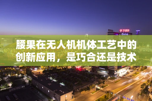 腰果在无人机机体工艺中的创新应用，是巧合还是技术革新？