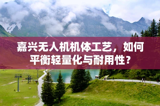 嘉兴无人机机体工艺，如何平衡轻量化与耐用性？