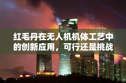 红毛丹在无人机机体工艺中的创新应用，可行还是挑战？