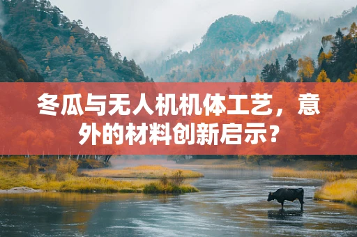 冬瓜与无人机机体工艺，意外的材料创新启示？