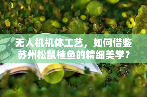 无人机机体工艺，如何借鉴苏州松鼠桂鱼的精细美学？