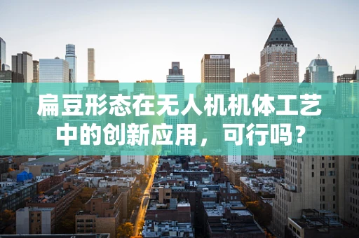 扁豆形态在无人机机体工艺中的创新应用，可行吗？