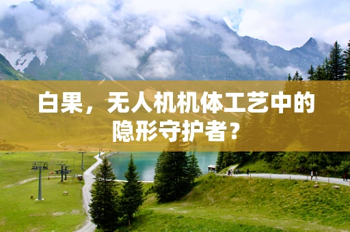 白果，无人机机体工艺中的隐形守护者？