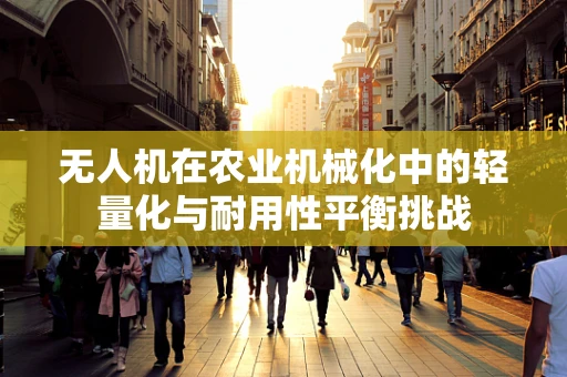 无人机在农业机械化中的轻量化与耐用性平衡挑战