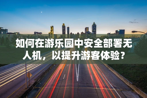 如何在游乐园中安全部署无人机，以提升游客体验？