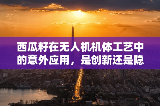 西瓜籽在无人机机体工艺中的意外应用，是创新还是隐患？