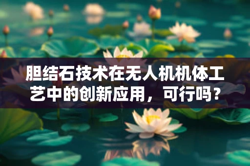 胆结石技术在无人机机体工艺中的创新应用，可行吗？