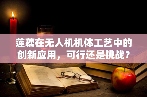 莲藕在无人机机体工艺中的创新应用，可行还是挑战？