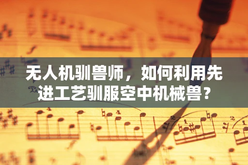 无人机驯兽师，如何利用先进工艺驯服空中机械兽？